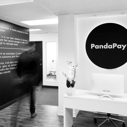 PandaPay : une belle alternative québécoise à Paypal et Stripe